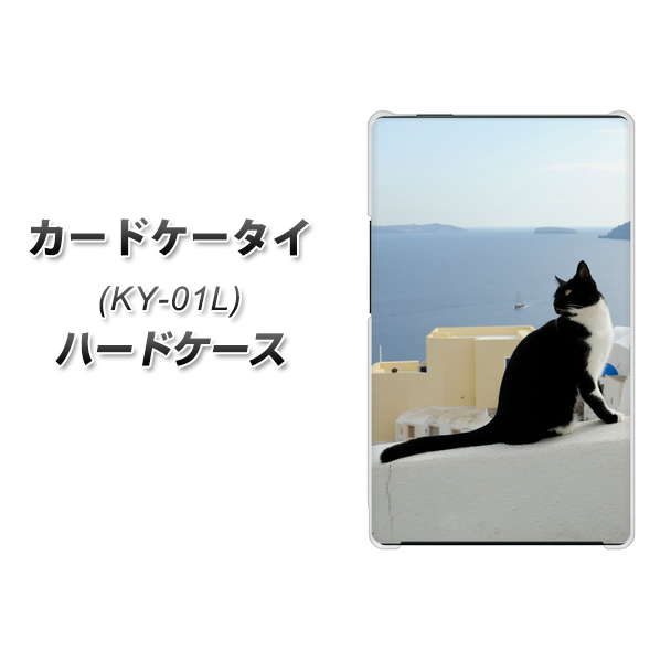 カードケータイ KY-01L docomo VA805 ネコと地中海 ハードケース 背面印刷