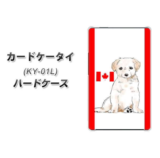 カードケータイ KY-01L docomo YD824 ラブラドールレトリバー05 ハードケース 背面印刷