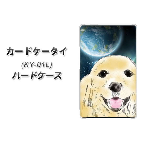 カードケータイ KY-01L docomo YD826 ゴールデンレトリバー02 ハードケース 背面印刷