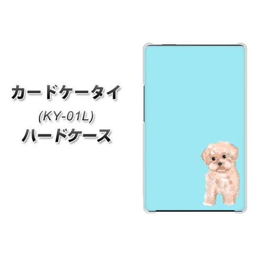 docomo カードケータイ KY-01 高画質仕上げ 背面印刷 ハードケース【YJ062 トイプードルアプリコット（ブルー）】
