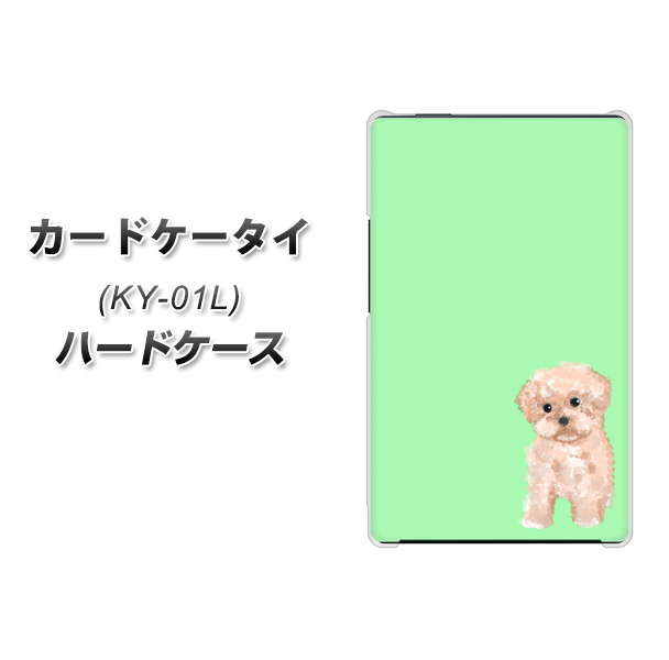 カードケータイ KY-01L docomo YJ063 トイプードルアプリコット（グリーン） ハードケース 背面印刷