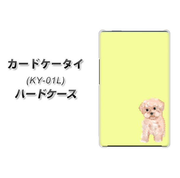 カードケータイ KY-01L docomo YJ064 トイプードルアプリコット（イエロー） ハードケース 背面印刷