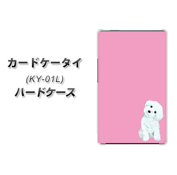 カードケータイ KY-01L docomo YJ069 トイプードルホワイト（ピンク） ハードケース 背面印刷