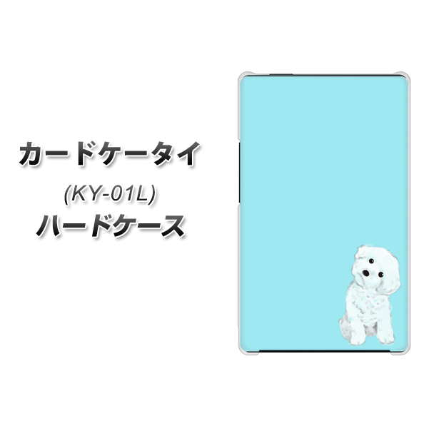 カードケータイ KY-01L docomo YJ070 トイプードルホワイト（ブルー） ハードケース 背面印刷