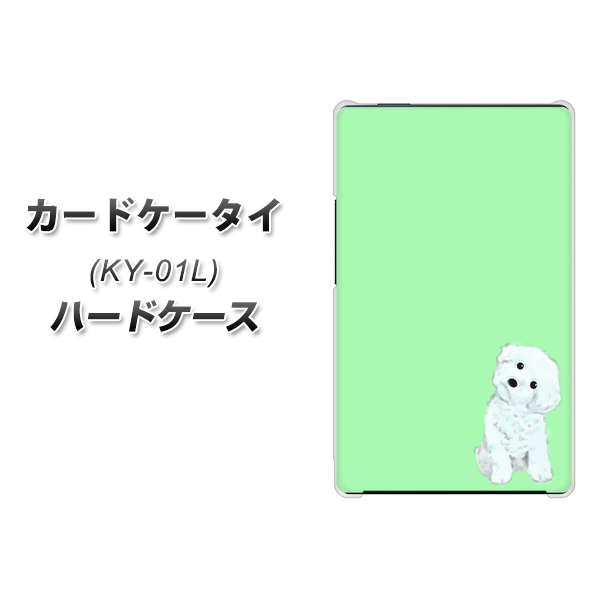 カードケータイ KY-01L docomo YJ071 トイプードルホワイト（グリーン） ハードケース 背面印刷