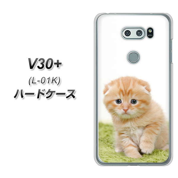V30+ L-01K docomo VA802 ネコこっそり ハードケース 背面印刷