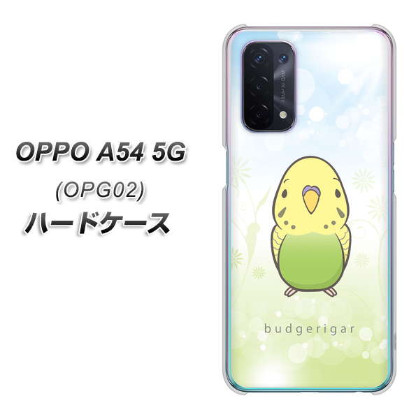 OPPO A54 5G OPG02 au SC838 セキセイインコ グリーン ハードケース 背面印刷