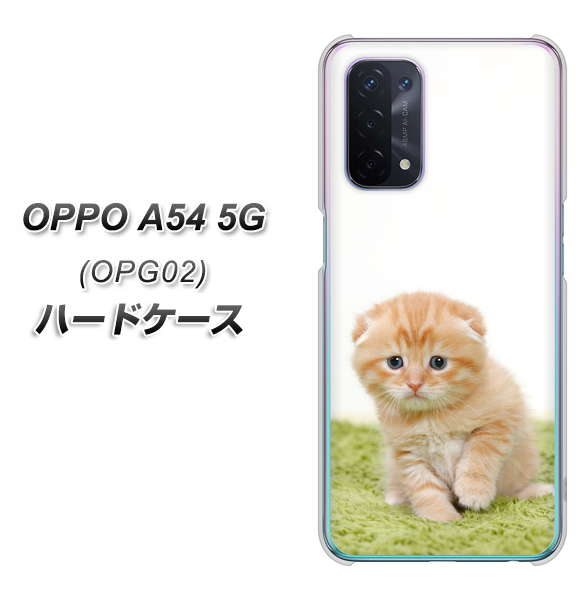 OPPO A54 5G OPG02 au VA802 ネコこっそり ハードケース 背面印刷
