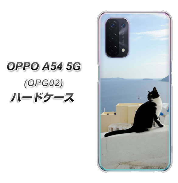 OPPO A54 5G OPG02 au VA805 ネコと地中海 ハードケース 背面印刷