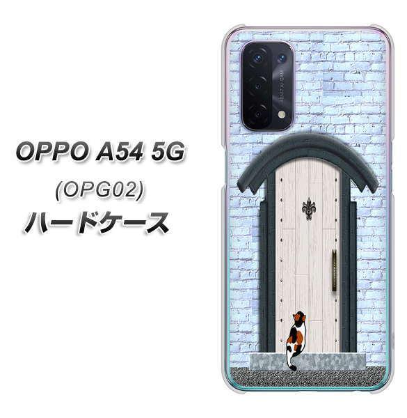 OPPO A54 5G OPG02 au YA951 石ドア01 ハードケース 背面印刷