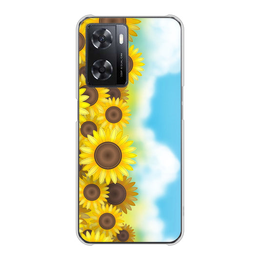 OPPO A77 148 ひまわり畑 ハードケース 背面印刷