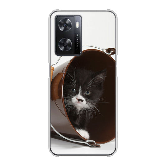 OPPO A77 VA800 ネコとバケツ ハードケース 背面印刷