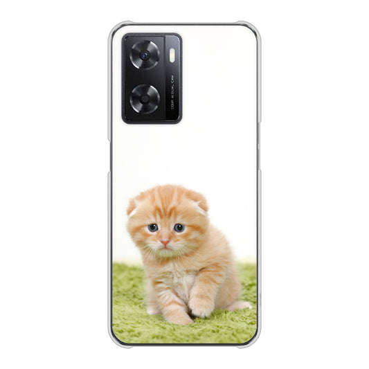 OPPO A77 VA802 ネコこっそり ハードケース 背面印刷