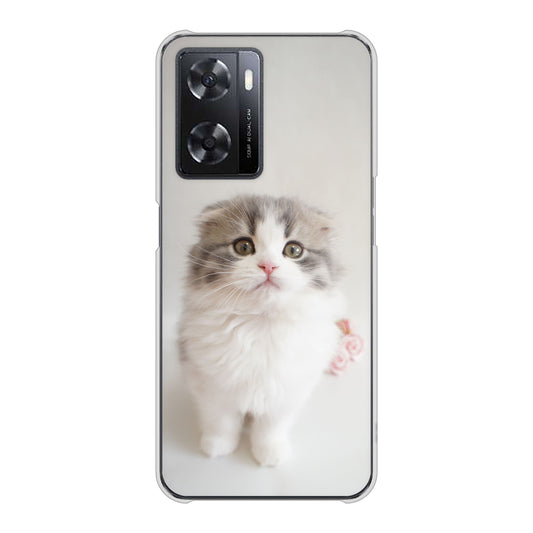 OPPO A77 VA803 まっていますネコ ハードケース 背面印刷