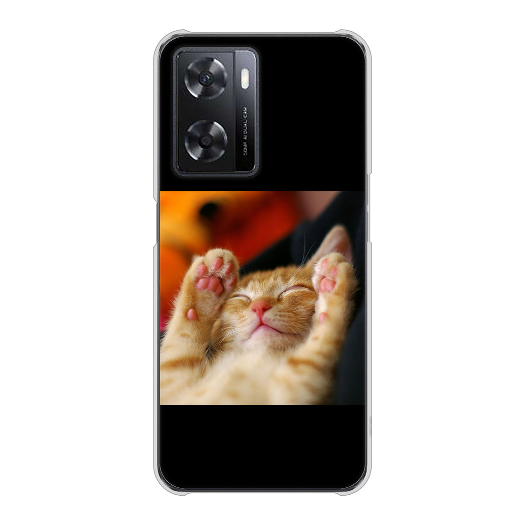 OPPO A77 VA804 爆睡するネコ ハードケース 背面印刷