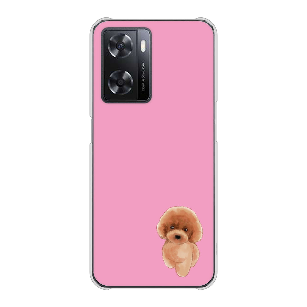 OPPO A77 YJ049 トイプードルレッド（ピンク） ハードケース 背面印刷