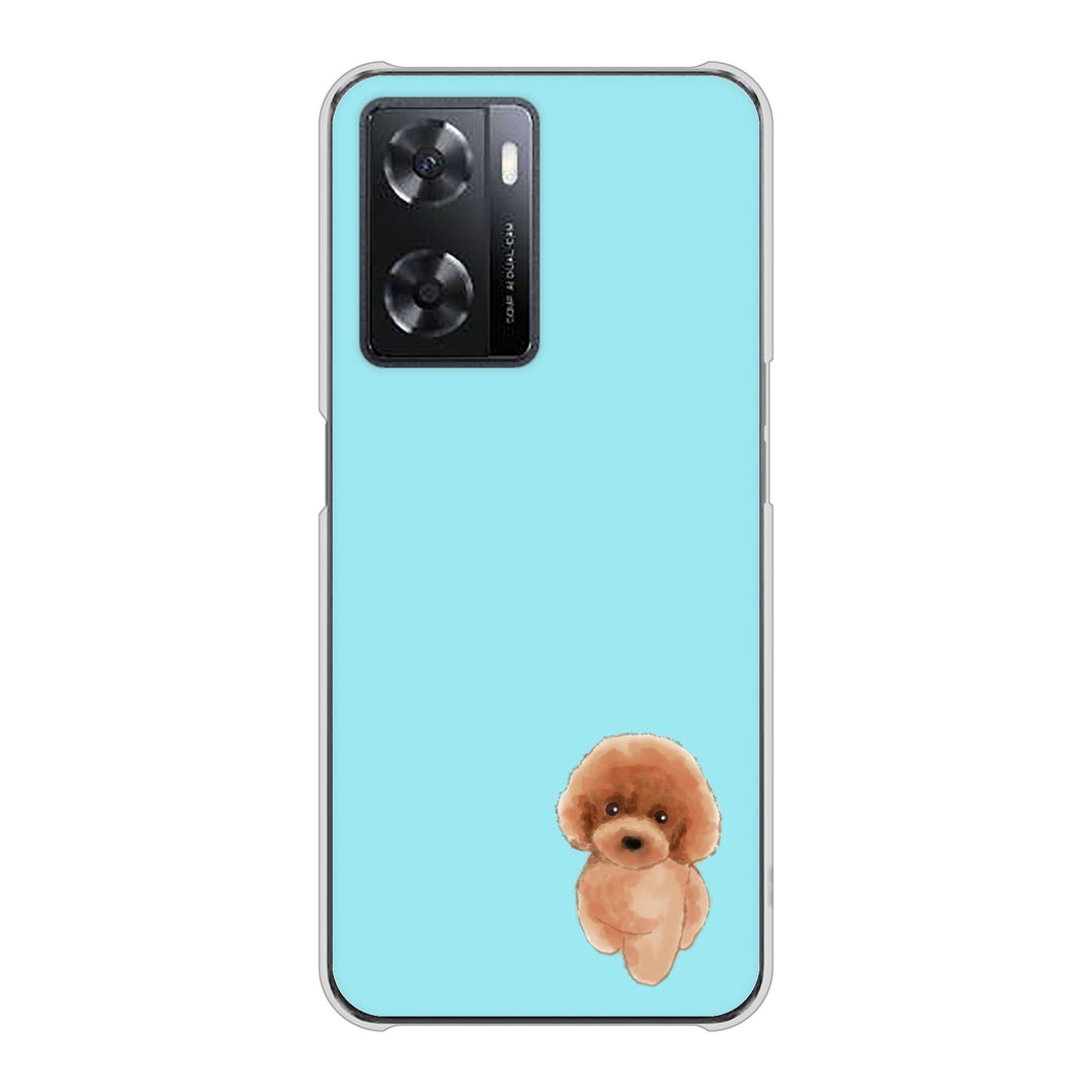 OPPO A77 YJ050 トイプードルレッド（ブルー） ハードケース 背面印刷