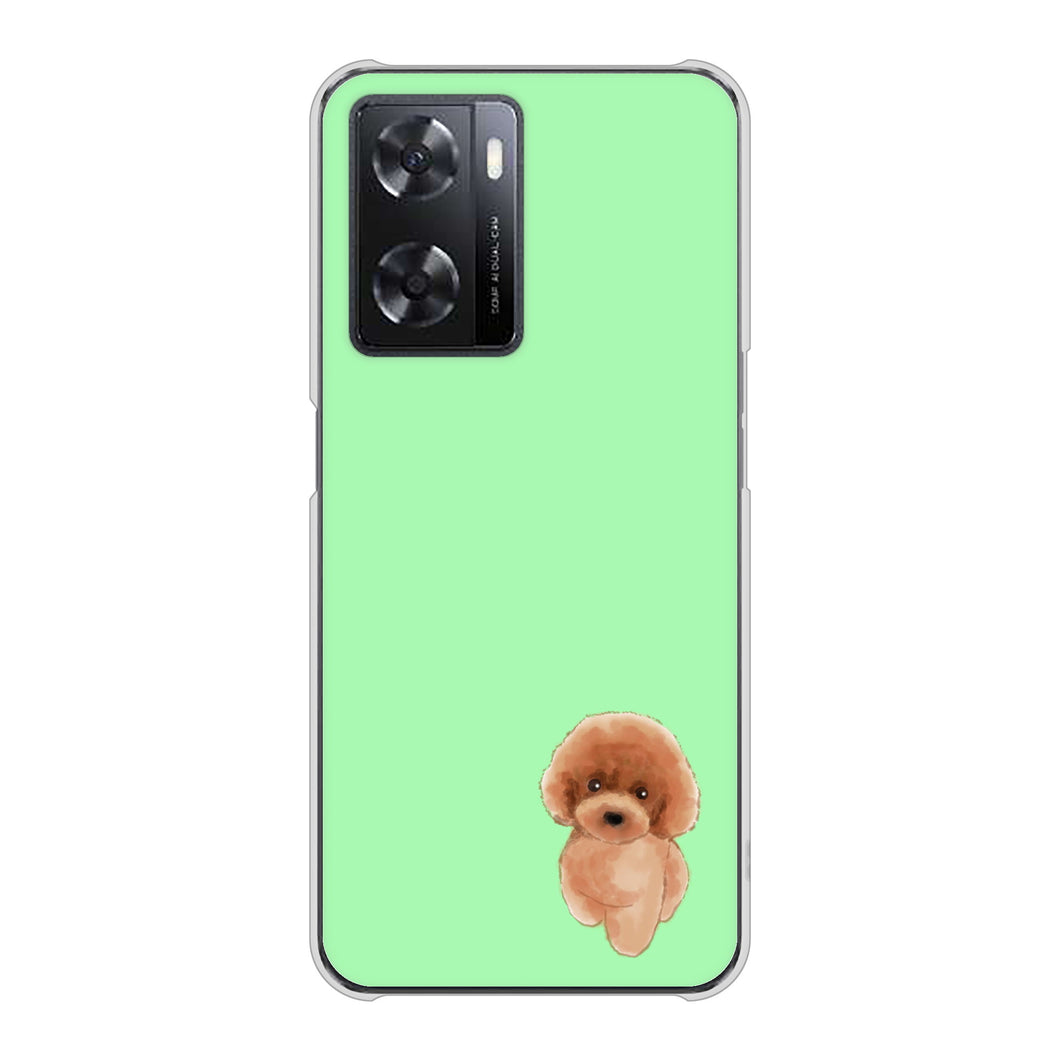 OPPO A77 YJ052 トイプードルレッド（ グリーン） ハードケース 背面印刷