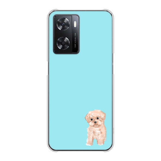 OPPO A77 YJ062 トイプードルアプリコット（ブルー） ハードケース 背面印刷