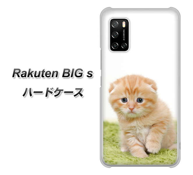 Rakuten BIG s 楽天モバイル VA802 ネコこっそり ハードケース 背面印刷