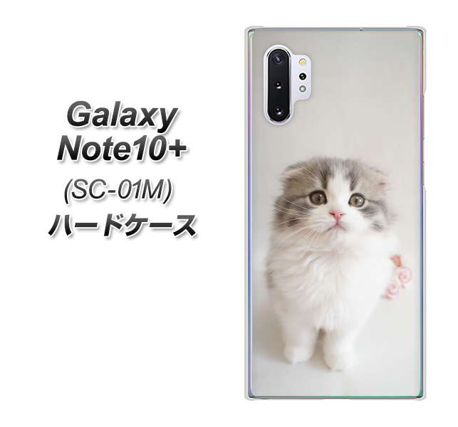 Galaxy Note10+ SC-01M docomo VA803 まっていますネコ ハードケース 背面印刷