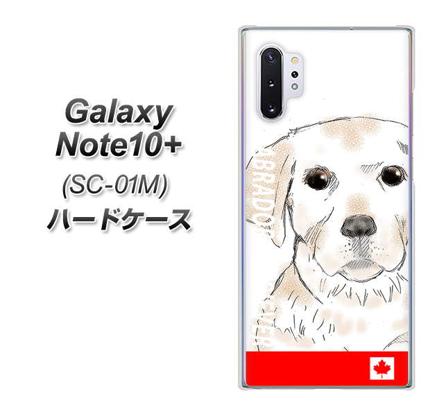 Galaxy Note10+ SC-01M docomo YD821 ラブラドールレトリバー02 ハードケース 背面印刷