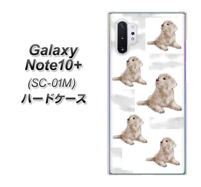 Galaxy Note10+ SC-01M docomo YD823 ラブラドールレトリバー04 ハードケース 背面印刷