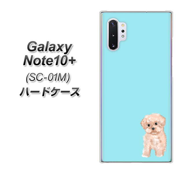 Galaxy Note10+ SC-01M docomo YJ062 トイプードルアプリコット（ブルー） ハードケース 背面印刷