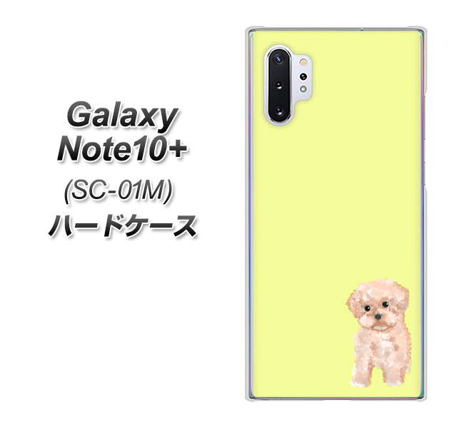 Galaxy Note10+ SC-01M docomo YJ064 トイプードルアプリコット（イエロー） ハードケース 背面印刷