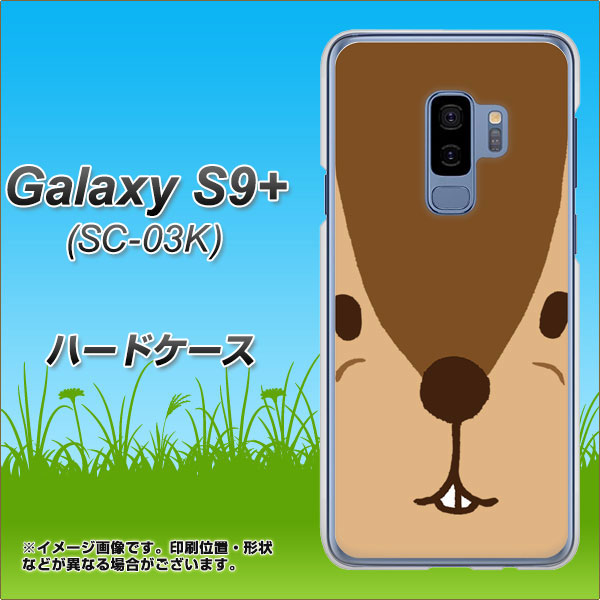 Galaxy S9+ SC-03K docomo 349 りす ハードケース 背面印刷