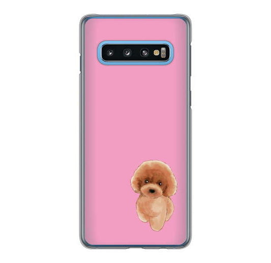 Galaxy S10 SC-03L docomo トイプードルレッド ハードケース 背面印刷