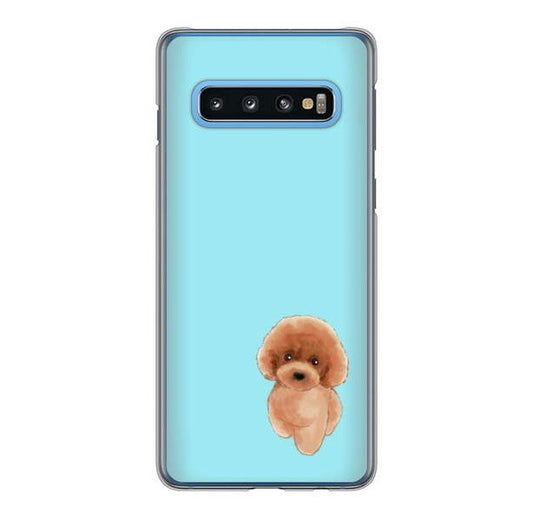 Galaxy S10 SC-03L docomo トイプードルレッド ハードケース 背面印刷