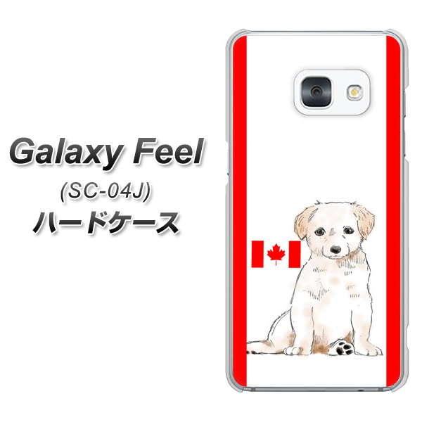 Galaxy Feel SC-04J docomo YD824 ラブラドールレトリバー05 ハードケース 背面印刷