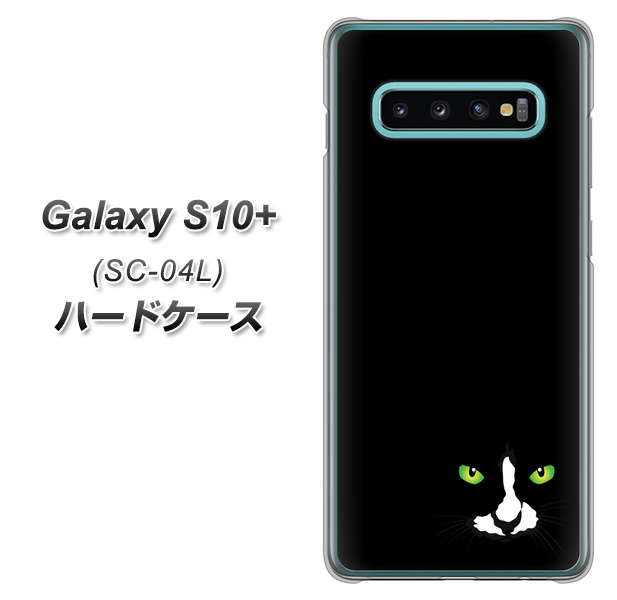Galaxy S10+ SC-04L docomo 398 黒ネコ ハードケース 背面印刷