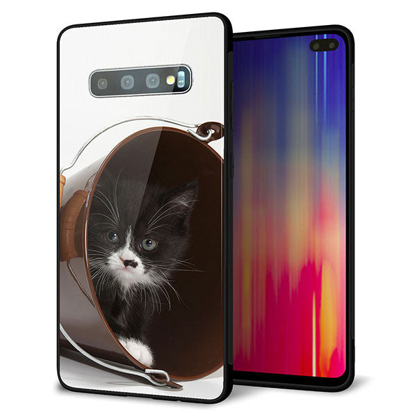 Galaxy S10+ Olympic Games Edition SC-05L docomo 強化ガラス＆TPUスマホケース ガラプリ【VA800 ネコとバケツ】