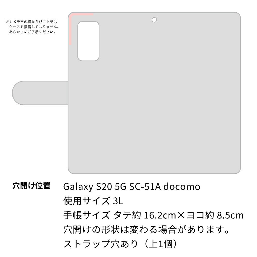 Galaxy S20 5G SC-51A docomo 高画質仕上げ プリント手帳型ケース(通常型)【FD818 サマーパターン（大町）】