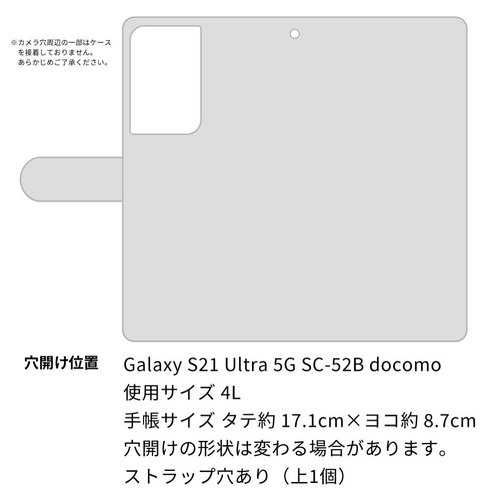 docomo ギャラクシーS21 ウルトラ 5G SC-52B 高画質仕上げ プリント手帳型ケース(通常型)【YF946 カラーレディ07】
