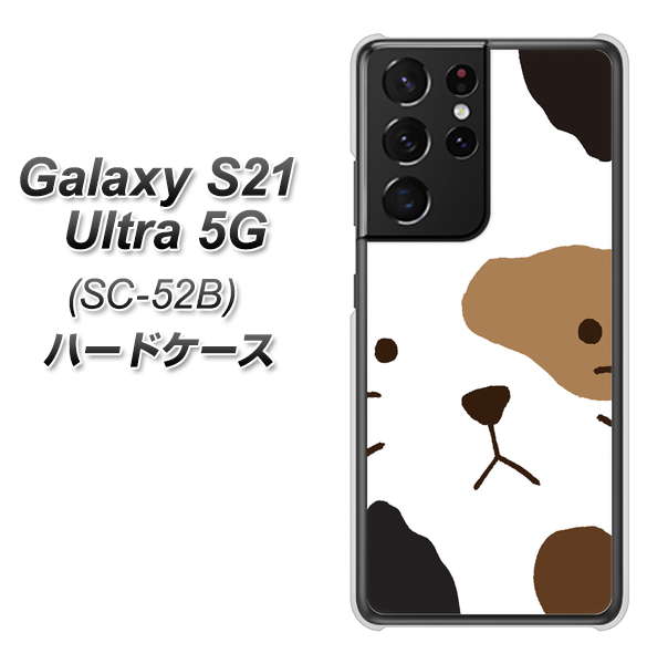 Galaxy S21 Ultra 5G SC-52B docomo IA801 みけ ハードケース 背面印刷