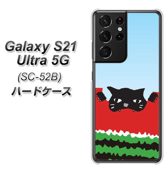 Galaxy S21 Ultra 5G SC-52B docomo IA815 すいかをかじるネコ(大) ハードケース 背面印刷