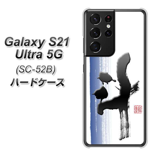 Galaxy S21 Ultra 5G SC-52B docomo OE829 斗 ハードケース 背面印刷