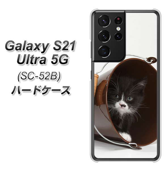 Galaxy S21 Ultra 5G SC-52B docomo VA800 ネコとバケツ ハードケース 背面印刷