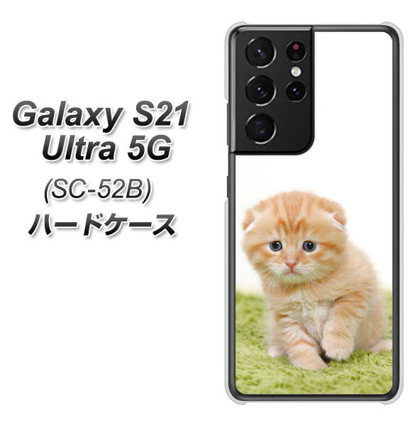 Galaxy S21 Ultra 5G SC-52B docomo VA802 ネコこっそり ハードケース 背面印刷