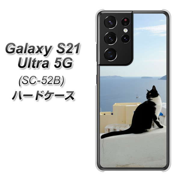 Galaxy S21 Ultra 5G SC-52B docomo VA805 ネコと地中海 ハードケース 背面印刷