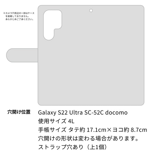Galaxy S22 Ultra SC-52C docomo 高画質仕上げ プリント手帳型ケース(通常型)【1048 海の守り神イルカ】
