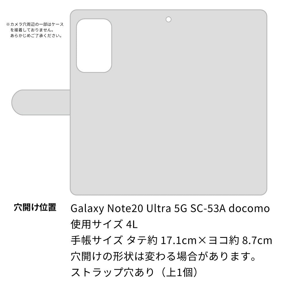 docomo ギャラクシー ノート20 ウルトラ 5G SC-53A 高画質仕上げ プリント手帳型ケース(通常型)【YF860 トイプー08】