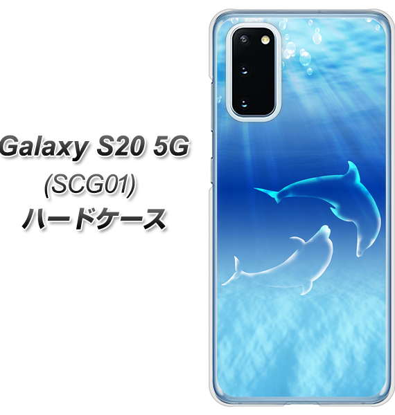 au ギャラクシー S20 5G SCG01 高画質仕上げ 背面印刷 ハードケース【1048 海の守り神イルカ】