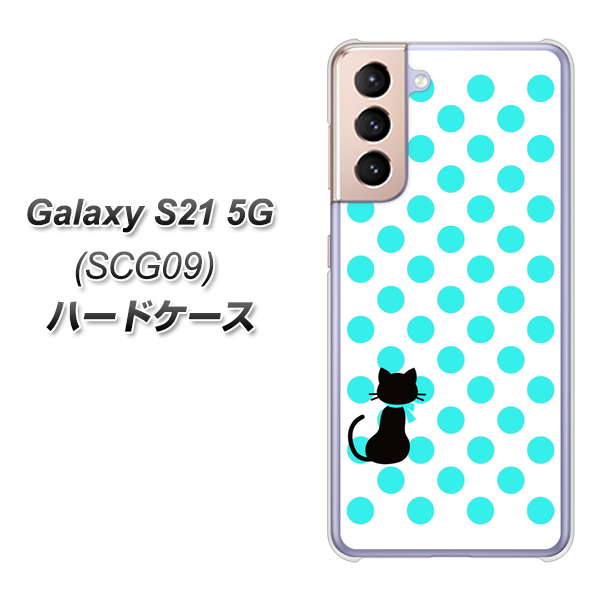 Galaxy S21 5G SCG09 au EK809 ネコとシンプル ライトブルー ハードケース 背面印刷