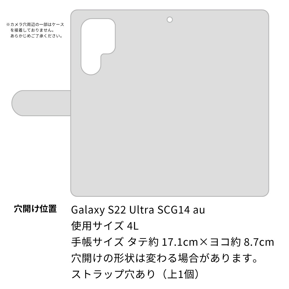 Galaxy S22 Ultra SCG14 au 高画質仕上げ プリント手帳型ケース(通常型)【YJ290 デザインもみじ】
