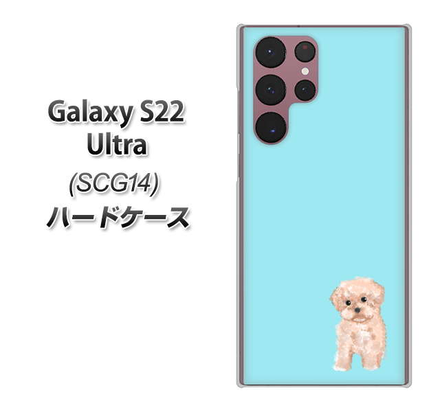 Galaxy S22 Ultra SCG14 au YJ062 トイプードルアプリコット（ブルー） ハードケース 背面印刷