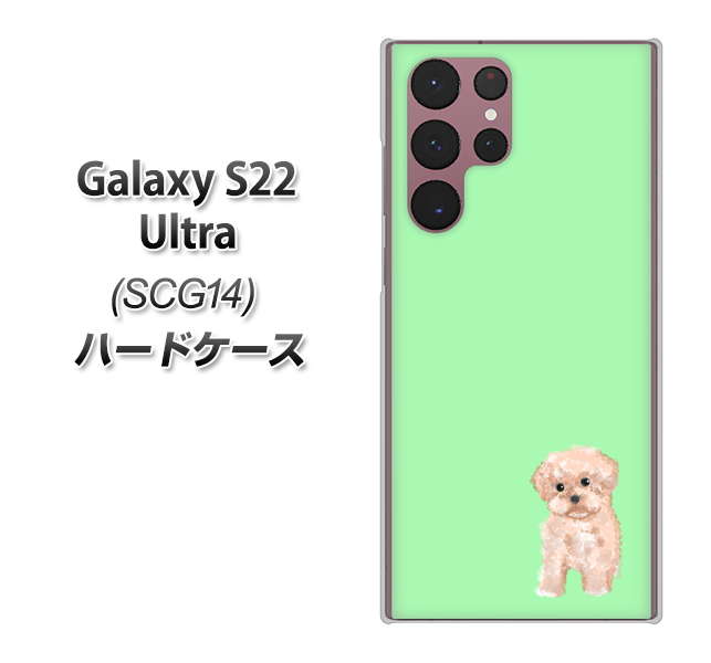 Galaxy S22 Ultra SCG14 au YJ063 トイプードルアプリコット（グリーン） ハードケース 背面印刷
